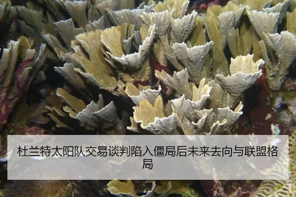 du-lan-te-tai-yang-dui-jiao-yi-tan-pan-xian-ru-jiang-ju-hou-wei-lai-qu-xiang-yu-lian-meng-ge-ju-3-651.jpg